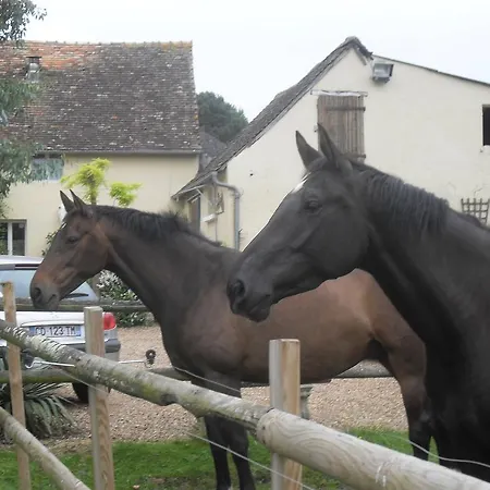 Les Cheres Meres Bed & Breakfast *